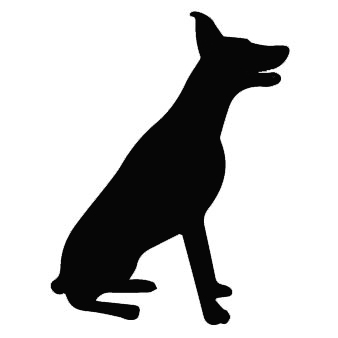Doberman Pinscher 2