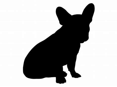 French Bulldog 2