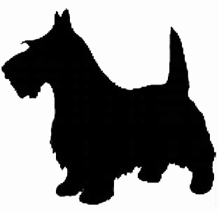 Scottish Terrier 2