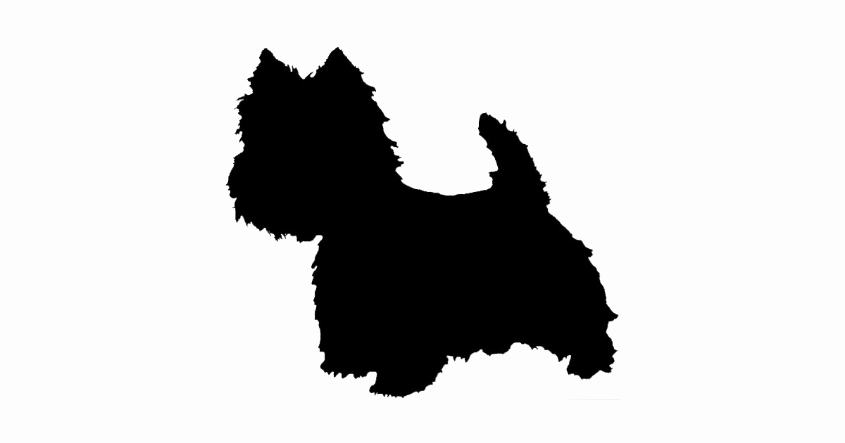 Westhighland White Terrier 2