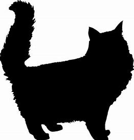 cat 1