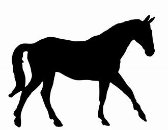 horse 3